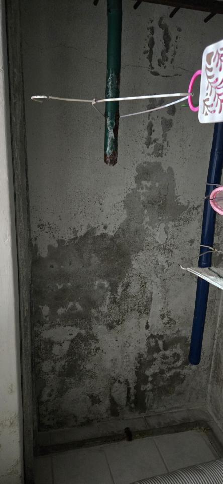 油漆工程案件圖片
