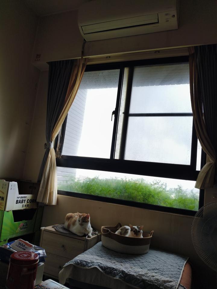 玻璃清潔案件圖片