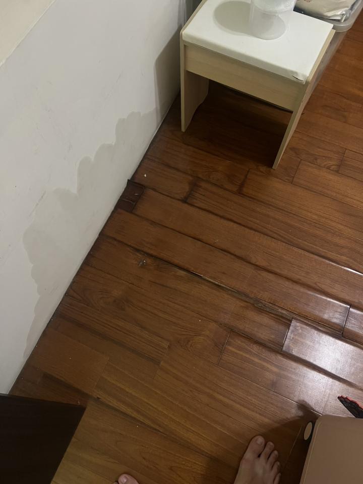抓漏案件圖片