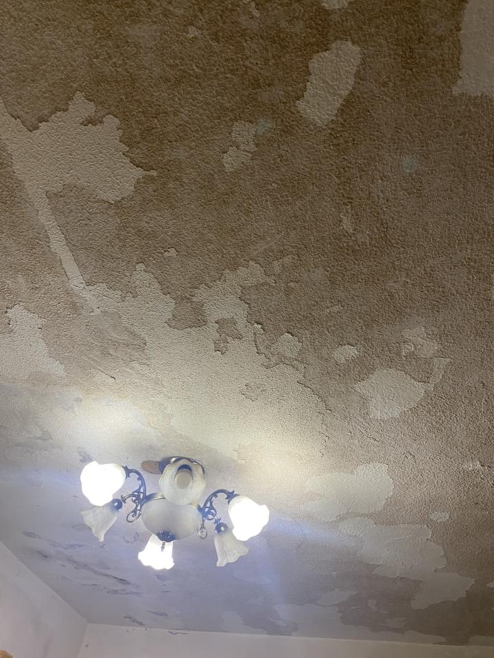 抓漏案件圖片