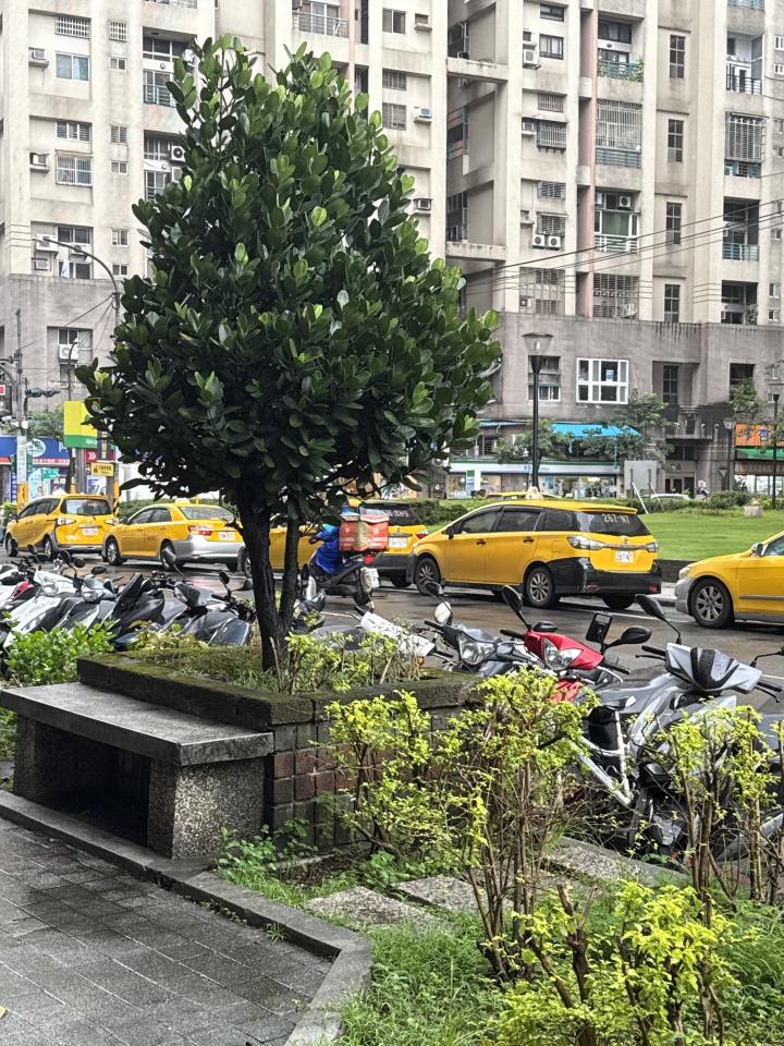 園藝維護案件圖片