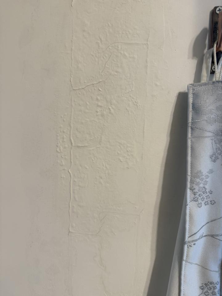 油漆工程案件圖片