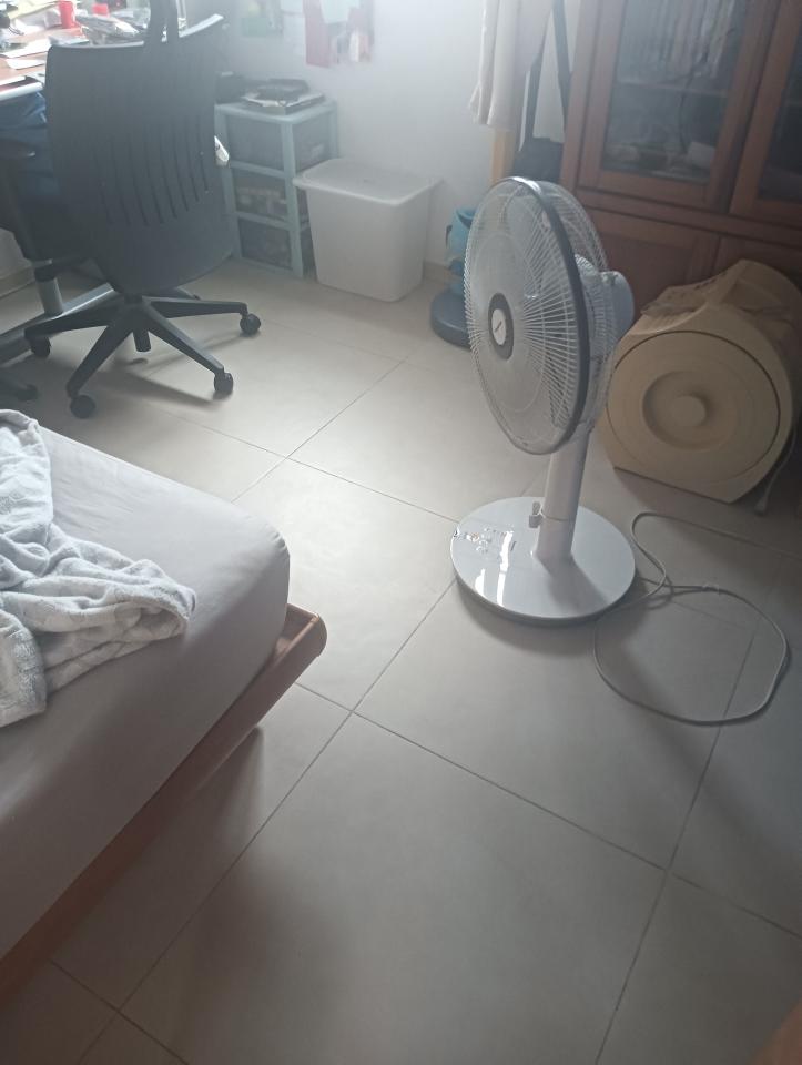 地板拋光打蠟案件圖片