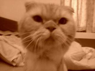 提供pcba代工服務的專家宋安庭