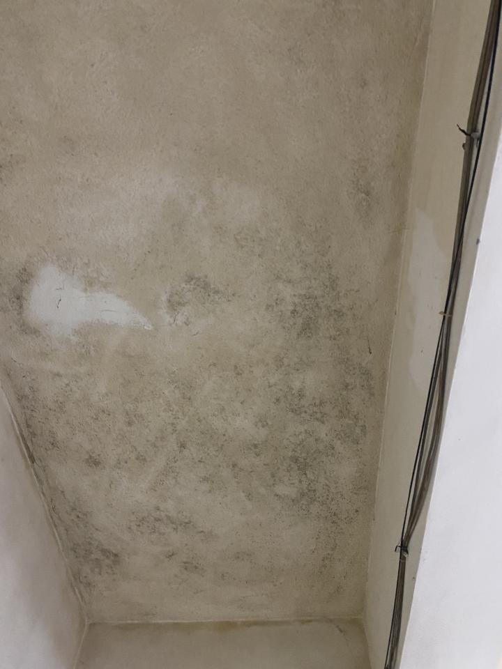 抓漏案件圖片