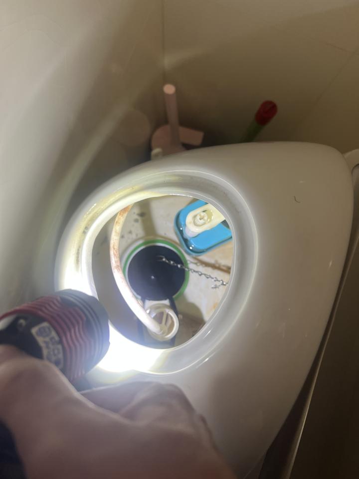 馬桶裝修案件圖片