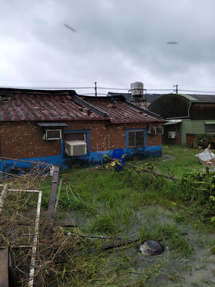 屋瓦翻修案件圖片