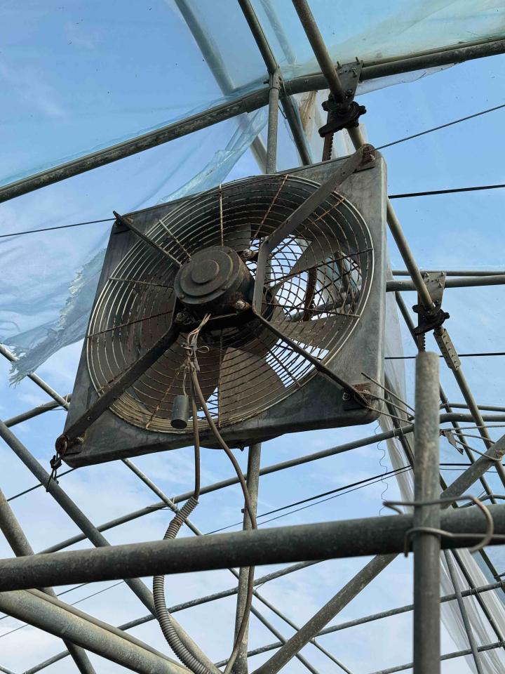 電線裝修案件圖片