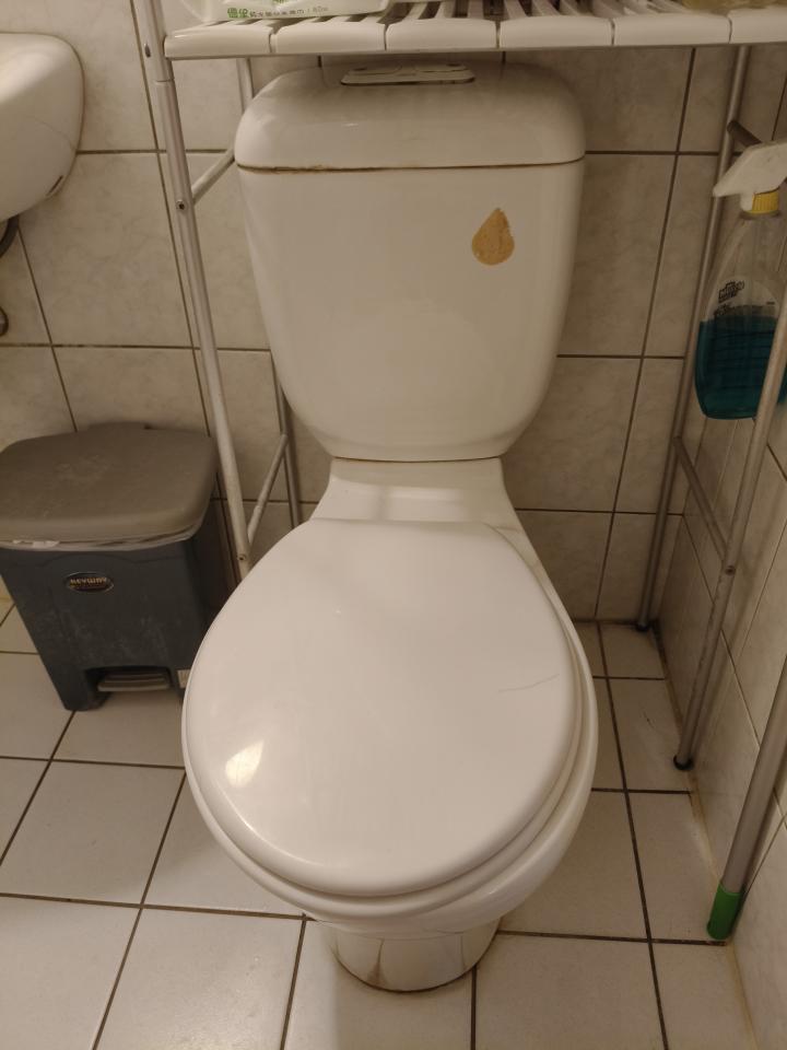 馬桶裝修案件圖片