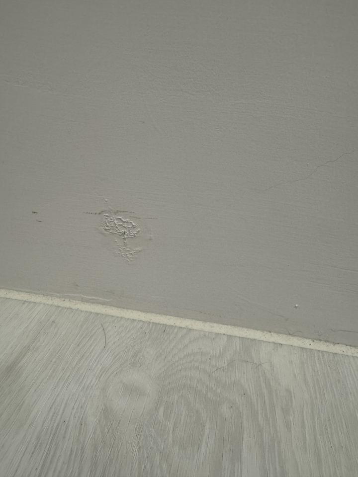 抓漏案件圖片