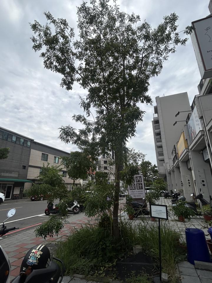 園藝維護案件圖片 園藝維護案件圖片