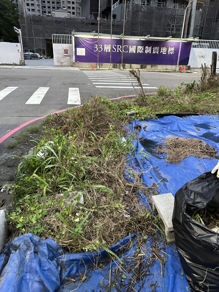 園藝維護案件圖片