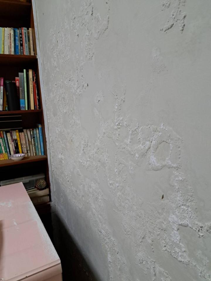 外牆拉皮案件圖片 外牆拉皮案件圖片