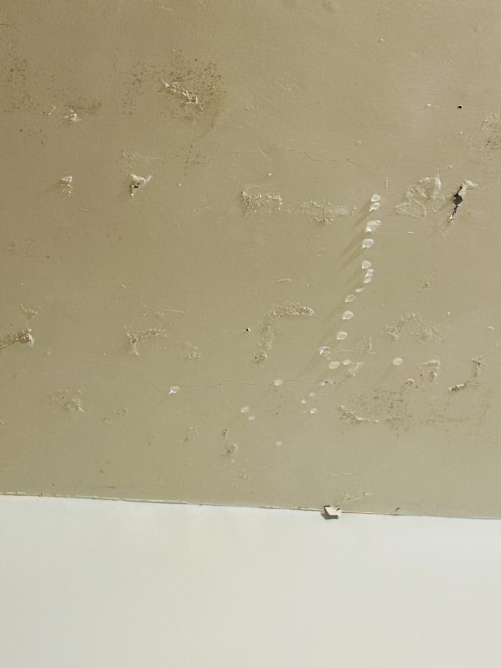 漏水處理案件圖片