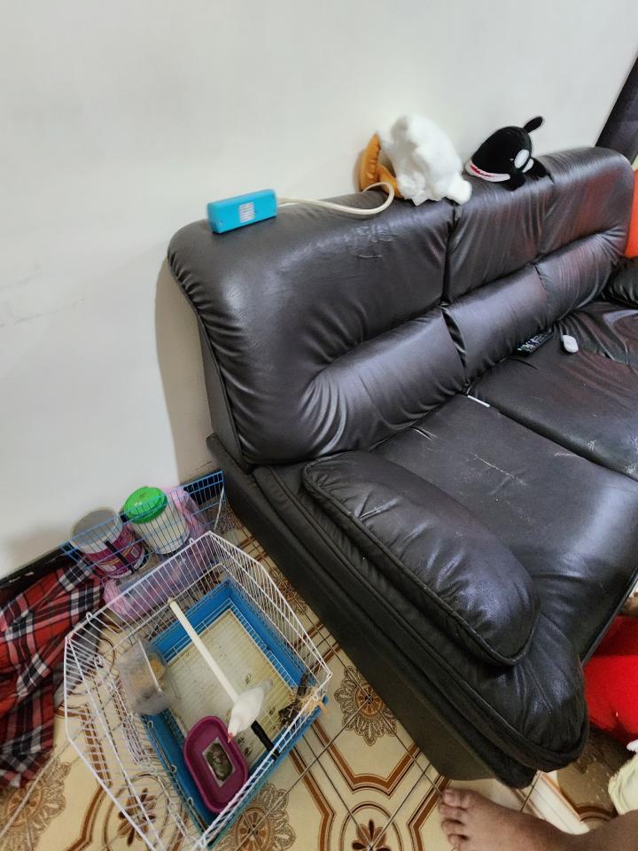 沙發修理案件圖片