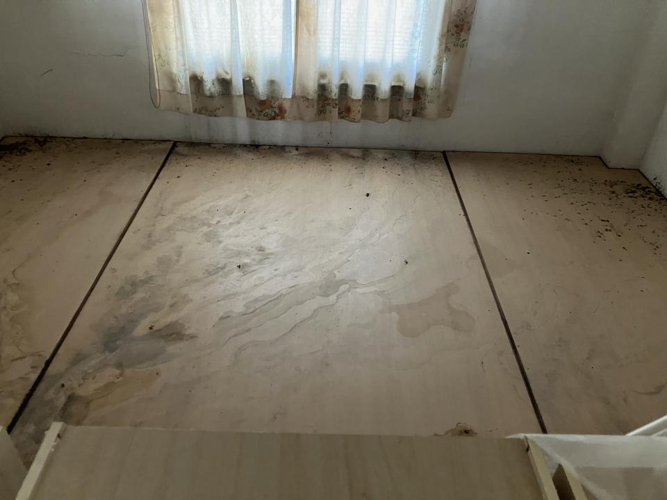 屋瓦翻修案件圖片
