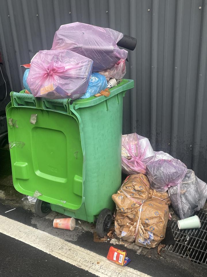 大型垃圾回收案件圖片 大型垃圾回收案件圖片