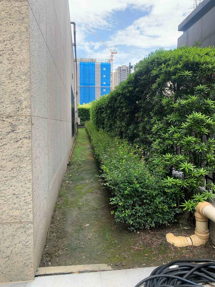 園藝維護案件圖片 園藝維護案件圖片