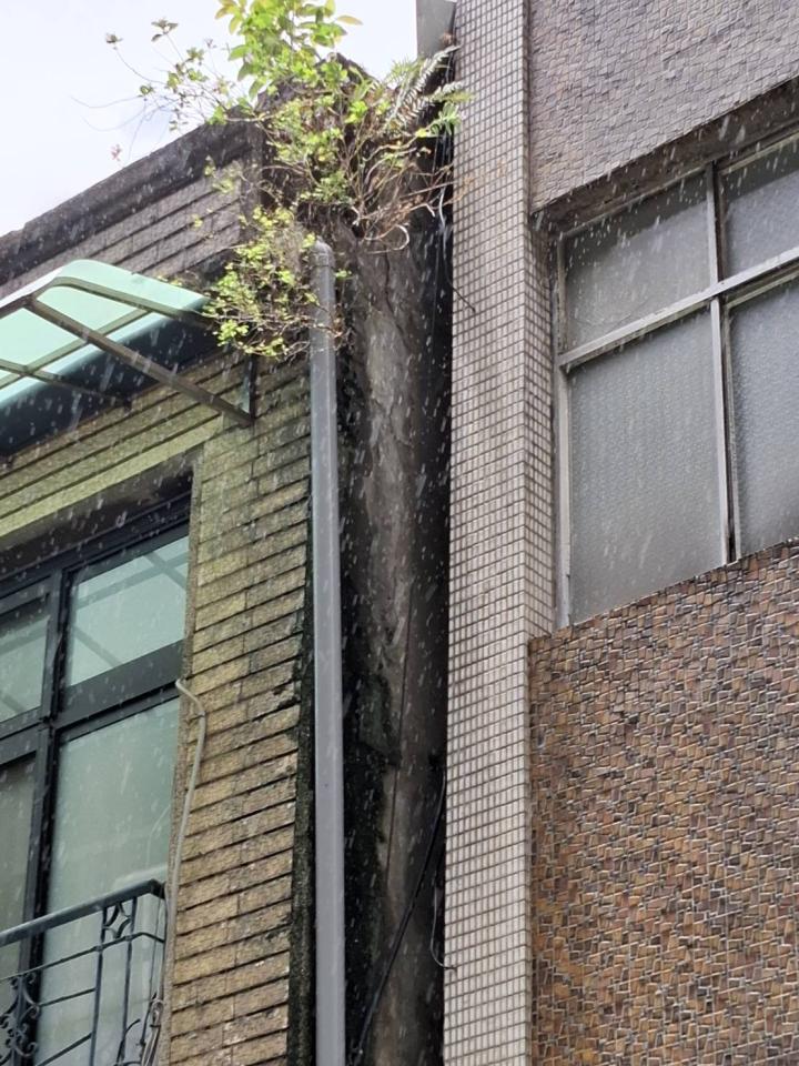 園藝維護案件圖片 園藝維護案件圖片