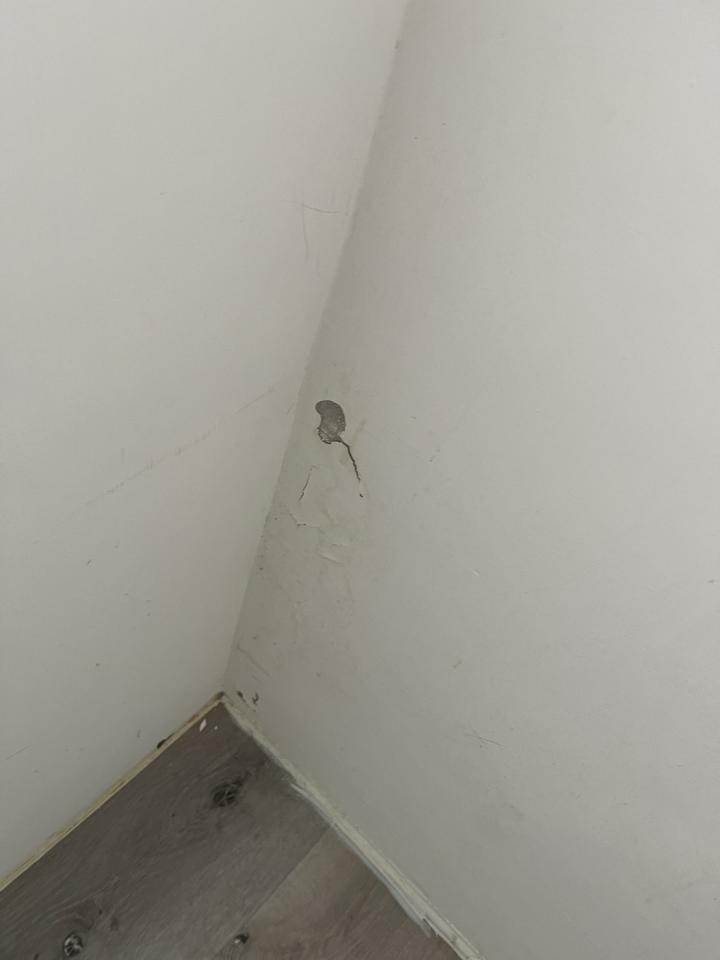 抓漏案件圖片