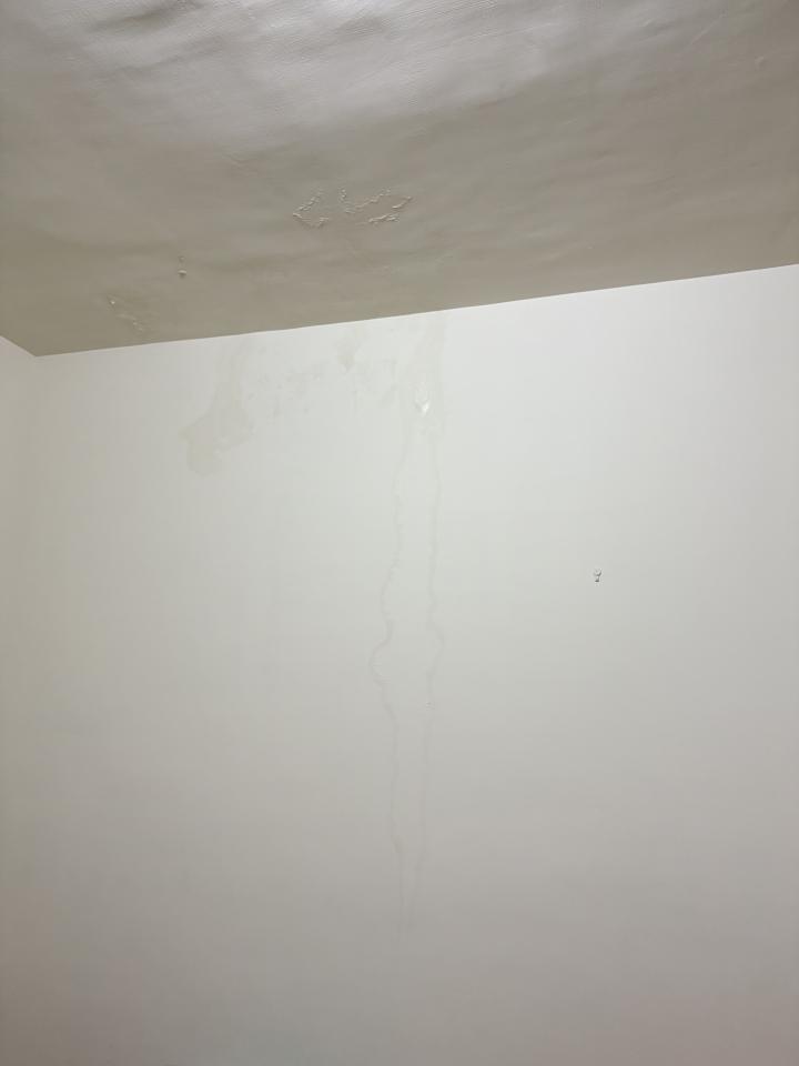 油漆工程案件圖片