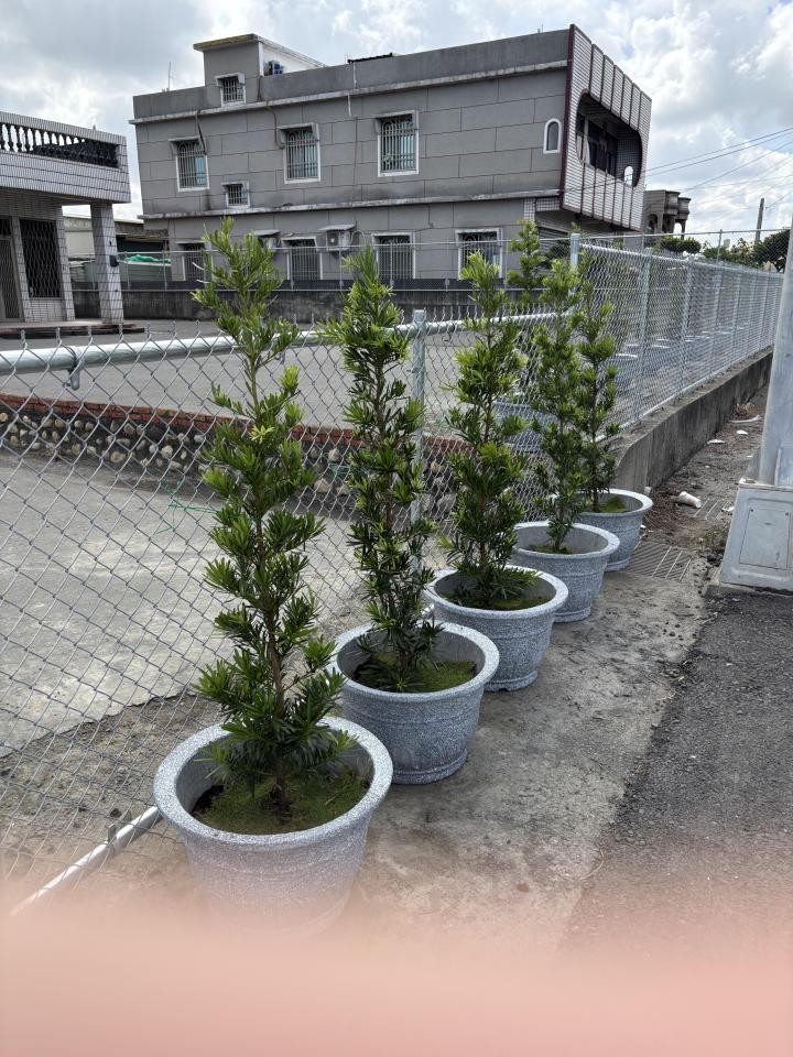 花園自動灑水系統案件圖片