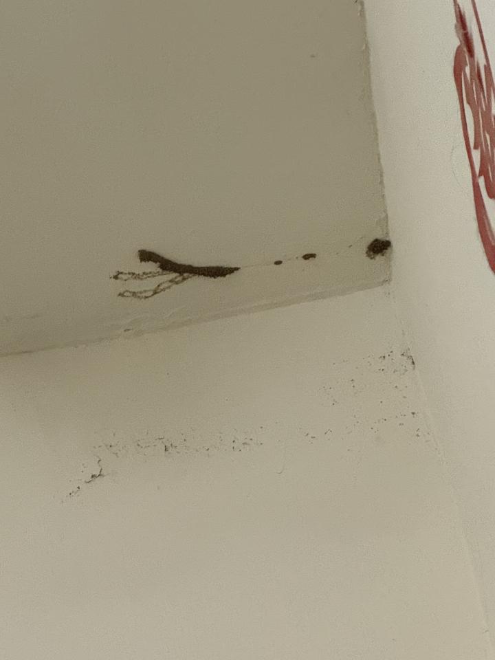 油漆工程案件圖片