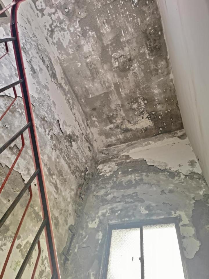 結構技師案件圖片 結構技師案件圖片