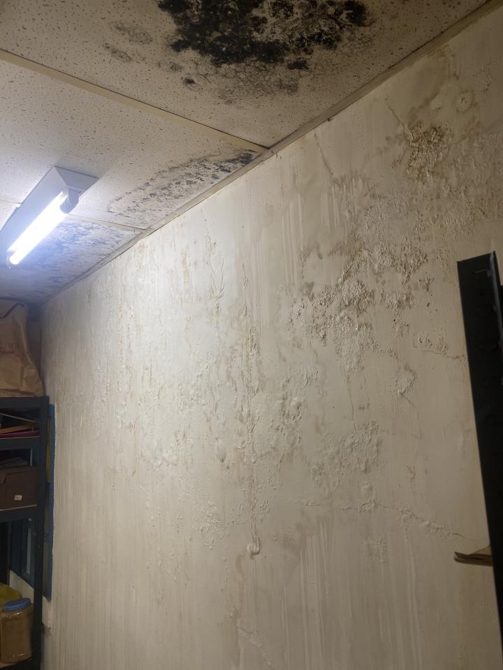 抓漏案件圖片 抓漏案件圖片