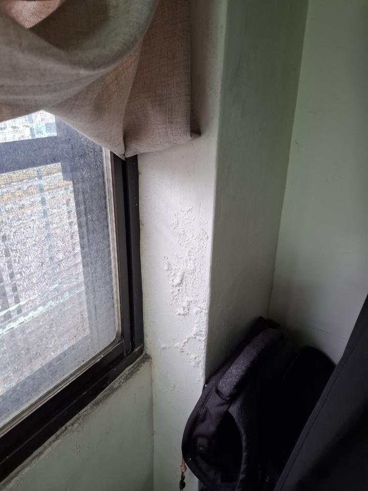 壁癌處理案件圖片 壁癌處理案件圖片