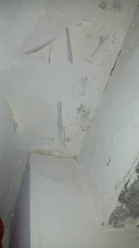 抓漏案件圖片