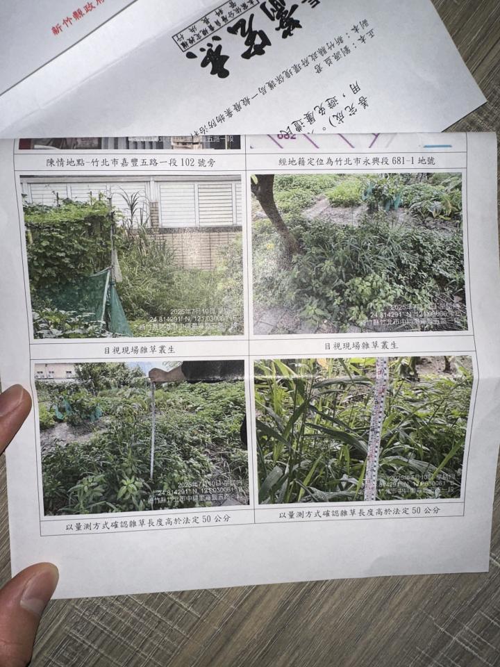 園藝維護案件圖片 園藝維護案件圖片