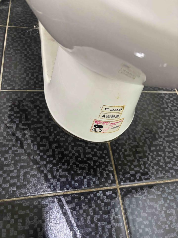 馬桶裝修案件圖片