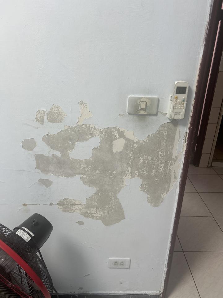 油漆工程案件圖片