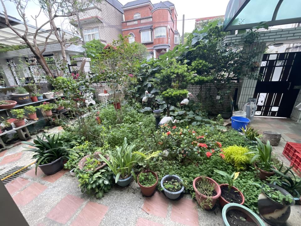 園藝維護案件圖片