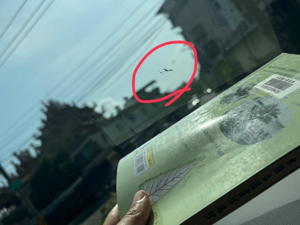 汽車玻璃修補案件圖片 汽車玻璃修補案件圖片