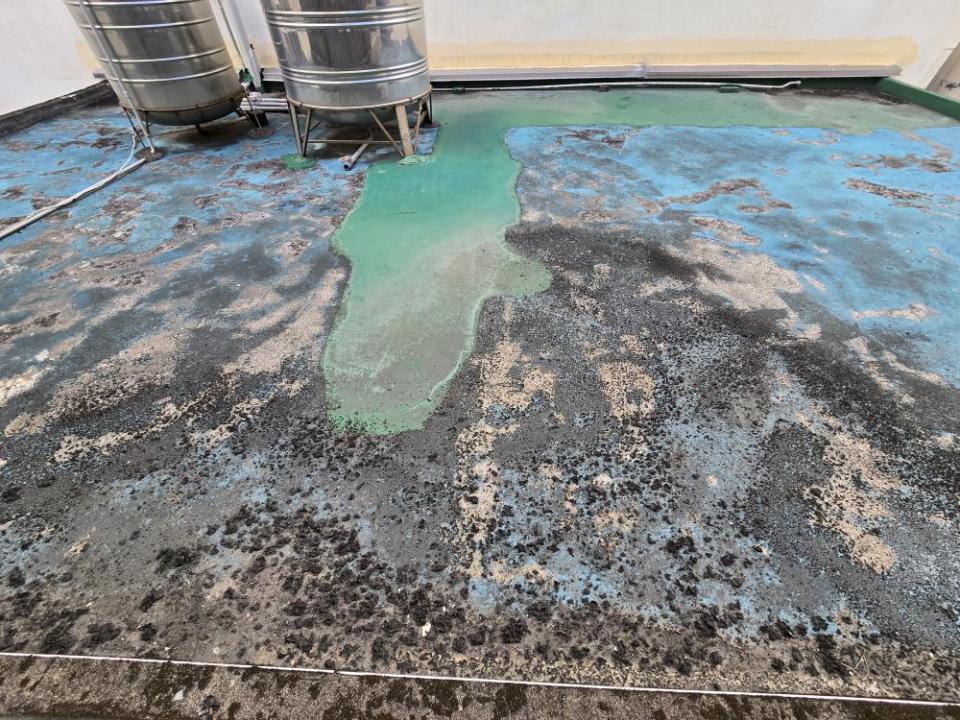 屋頂防水案件圖片 屋頂防水案件圖片