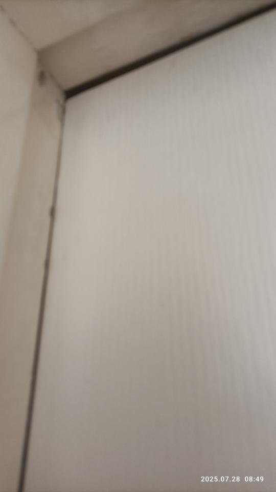 木門案件圖片