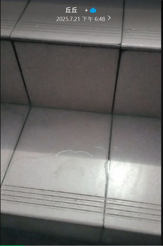 抓漏案件圖片 抓漏案件圖片