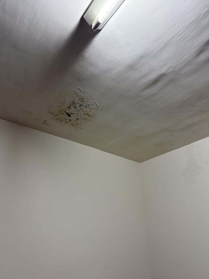 油漆工程案件圖片