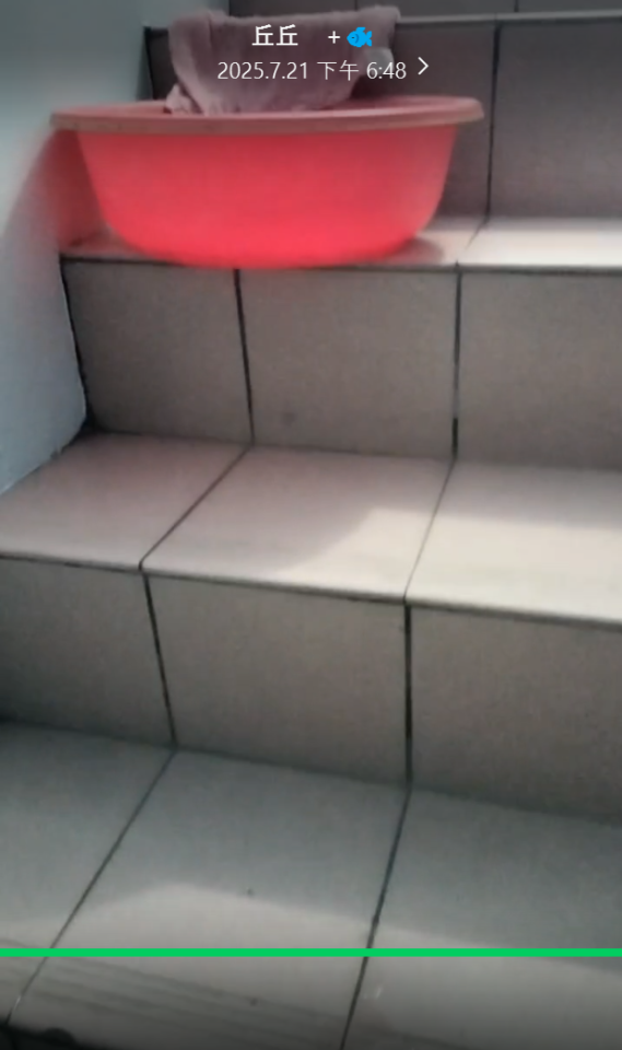 抓漏案件圖片 抓漏案件圖片