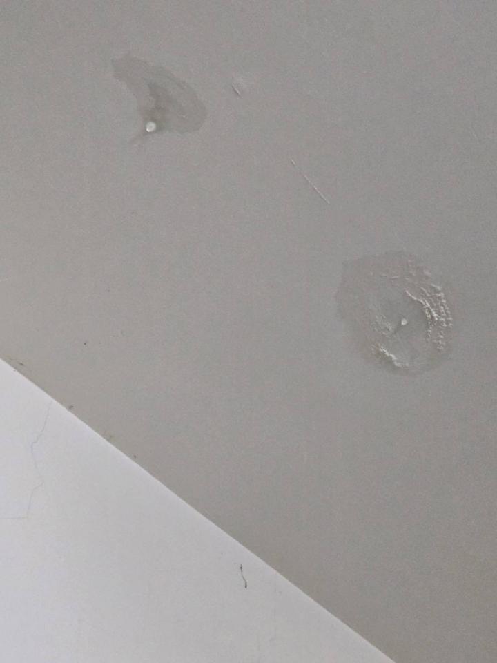 抓漏案件圖片 抓漏案件圖片
