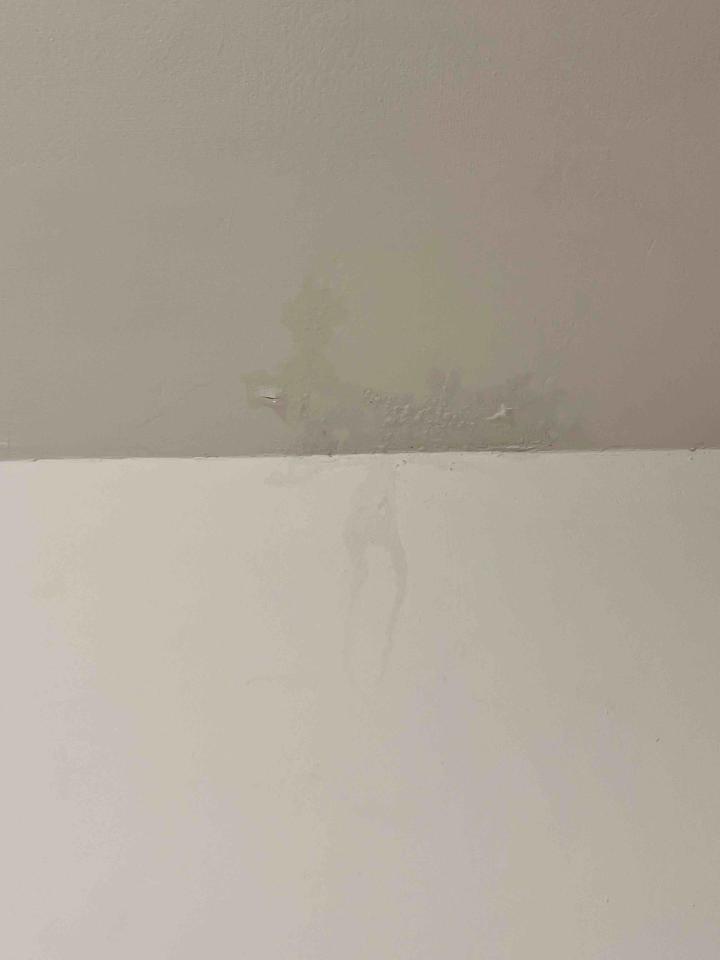 屋頂防水案件圖片 屋頂防水案件圖片