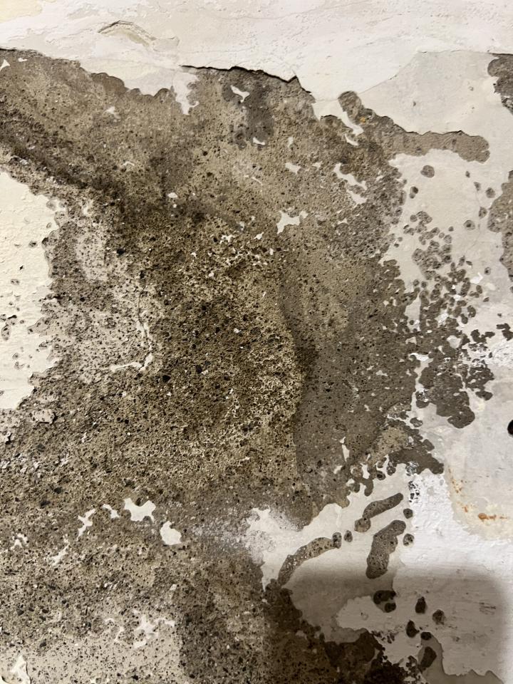 抓漏案件圖片