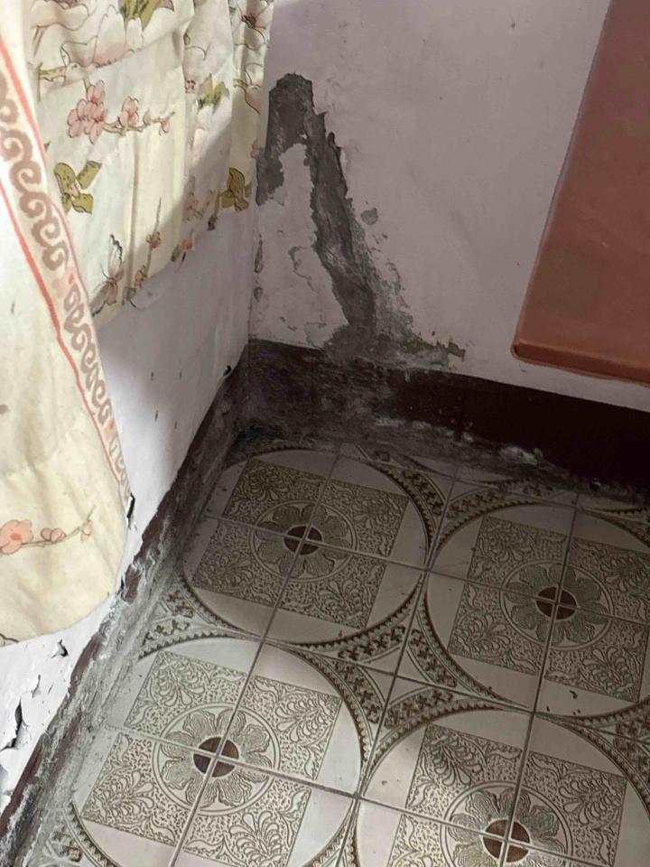 壁癌處理案件圖片 壁癌處理案件圖片