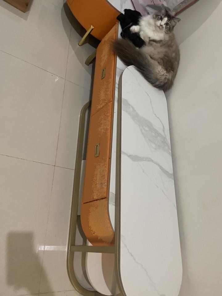 搬家案件圖片 搬家案件圖片