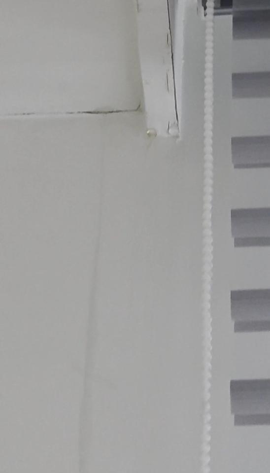 漏水鑑定案件圖片