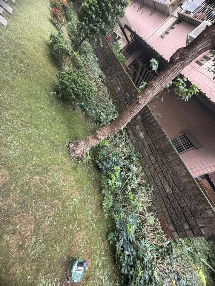 園藝維護案件圖片