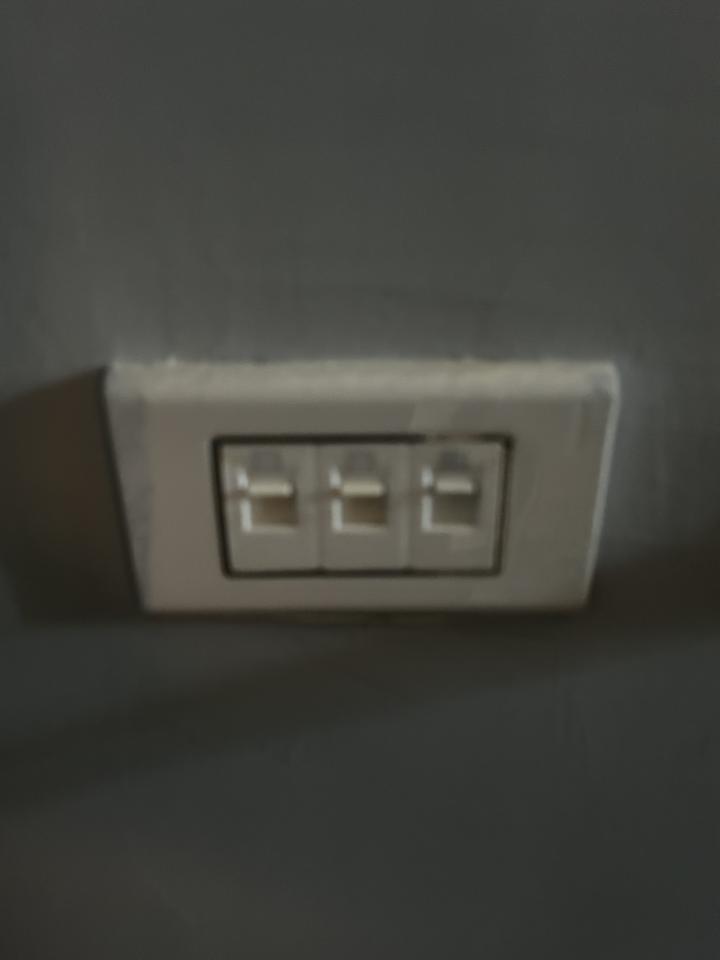拉網路線案件圖片