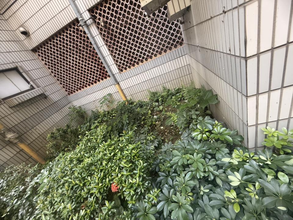園藝維護案件圖片